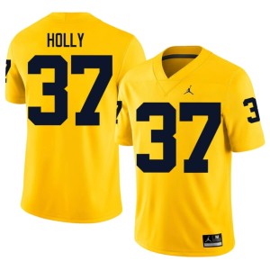 Maize Julius Holly High School College Football Men's Michigan #37 Jersey 527350-849