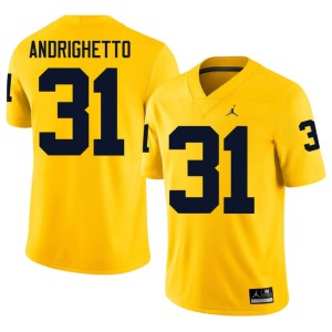 Maize Alumni #31 Men College Football Nico Andrighetto Michigan Jerseys 198803-269