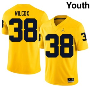 Maize #38 MICH Youth College Football Official Bryce Wilcox Jerseys 104433-408