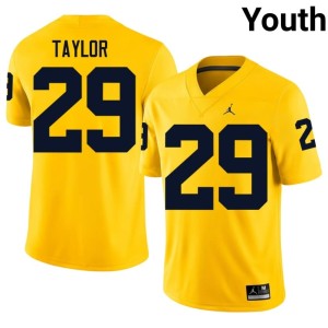 Maize High School #29 Youth Michigan Chase Taylor College Football Jerseys 122009-955