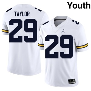 White #29 College Football U-M Official Youth Chase Taylor Jerseys 205918-614