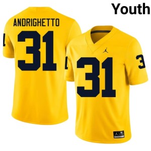 Maize Nico Andrighetto Youth U of M College Football Stitched #31 Jersey 665854-597