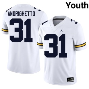 White College Football Nico Andrighetto Alumni Youth #31 Michigan Wolverines Jerseys 566289-259
