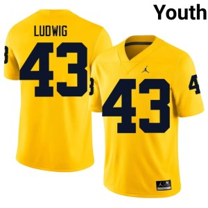 Maize Zach Ludwig College Football #43 Youth Michigan Game Jerseys 590646-535