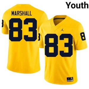 Maize Zack Marshall Youth #83 College Football NCAA MICH Jersey 411248-484