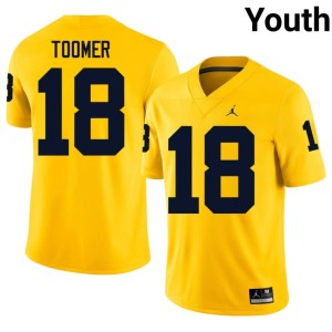Maize Amani Toomer College Football #18 U of M Youth Embroidery Jerseys 765008-386