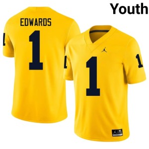 Maize Youth University of Michigan Player Braylon Edwards #1 College Football Jerseys 351716-673